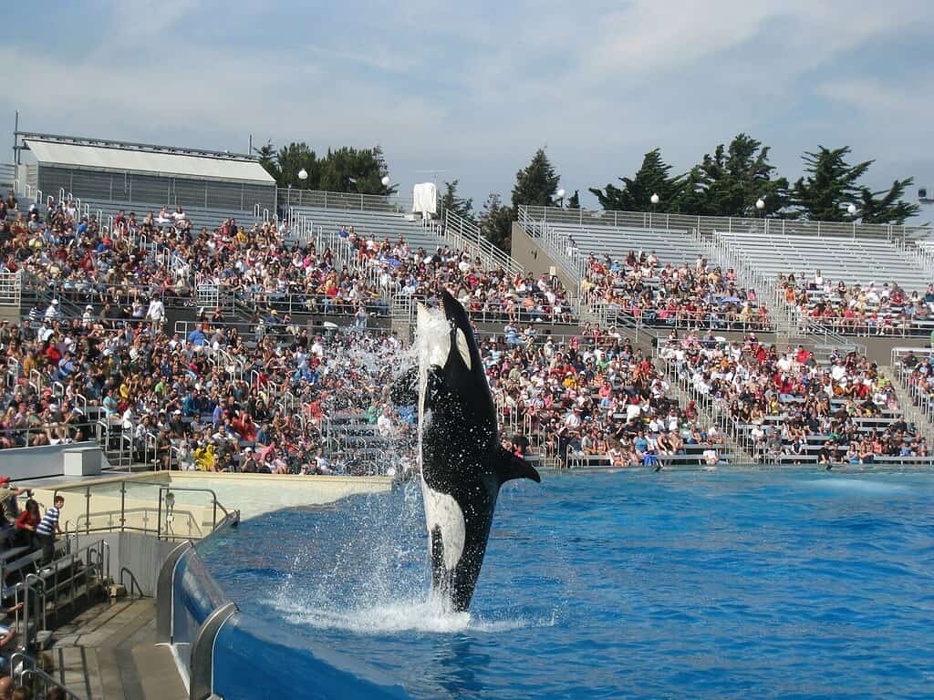SeaWorld San Diego